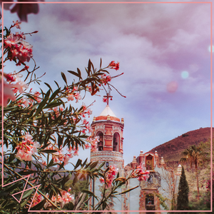 国产91精品㊙️暗夜
