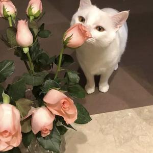 国产91精品㊙️暗夜
