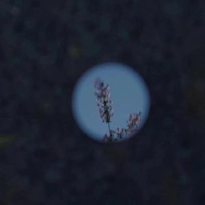 国产91精品㊙️暗夜
